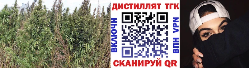 купить наркотик  Углегорск  Дистиллят ТГК гашишное масло 