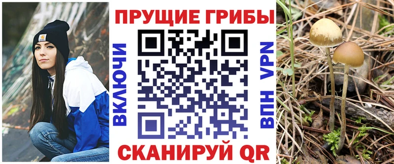 купить наркоту  Углегорск  Галлюциногенные грибы MAGIC MUSHROOMS 